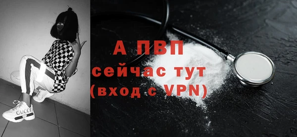 таблы Ельня