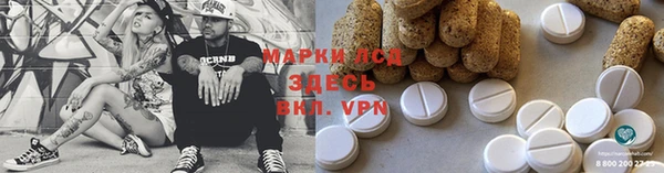 таблы Ельня