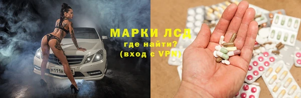 индика Заволжск