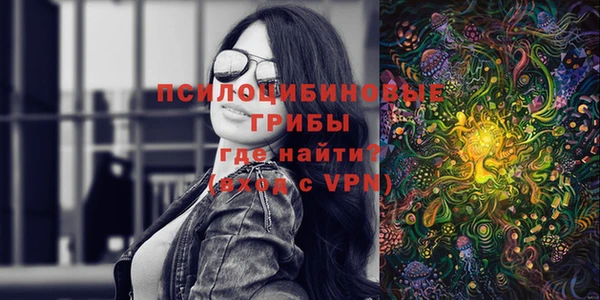 стаф Корсаков