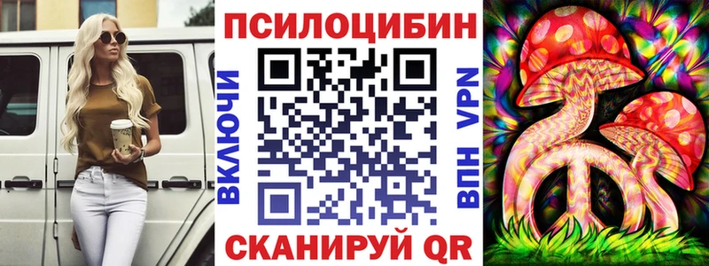 Псилоцибиновые грибы мухоморы  Купить закладки  Белокуриха 