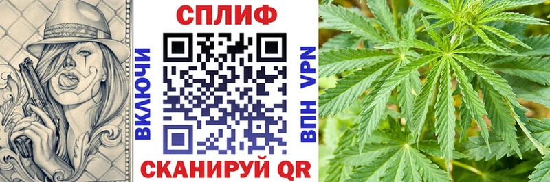 Канабис MAZAR  Купить где  Белокуриха 